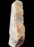 Sphalerite drusy geode obelisk 1187g in sunlight - Rocks and Things Store