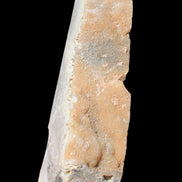 Sphalerite drusy geode obelisk 1187g in sunlight - Rocks and Things Store