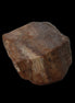 Petrified Wood slice 36g in dull sunlight - Rocks and Things Store
