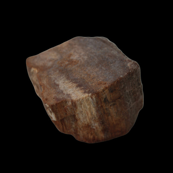 Petrified Wood slice 36g in dull sunlight - Rocks and Things Store