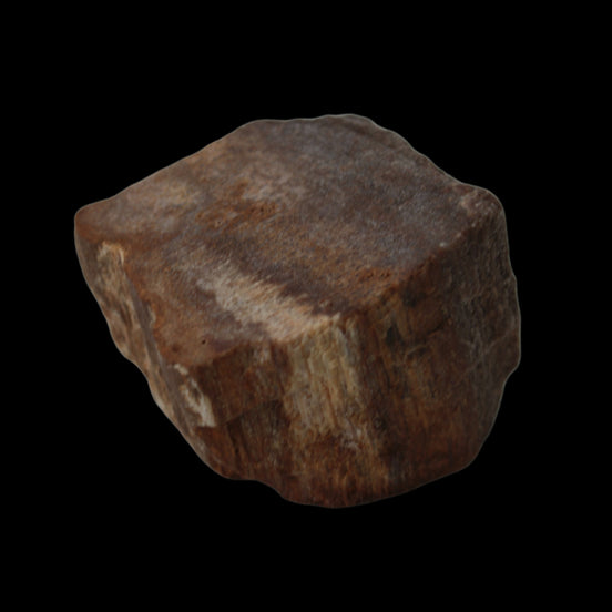 Petrified Wood slice 36g in dull sunlight - Rocks and Things Store