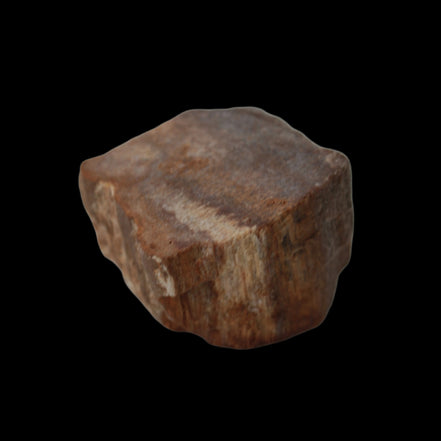 Petrified Wood slice 36g in dull sunlight - Rocks and Things Store