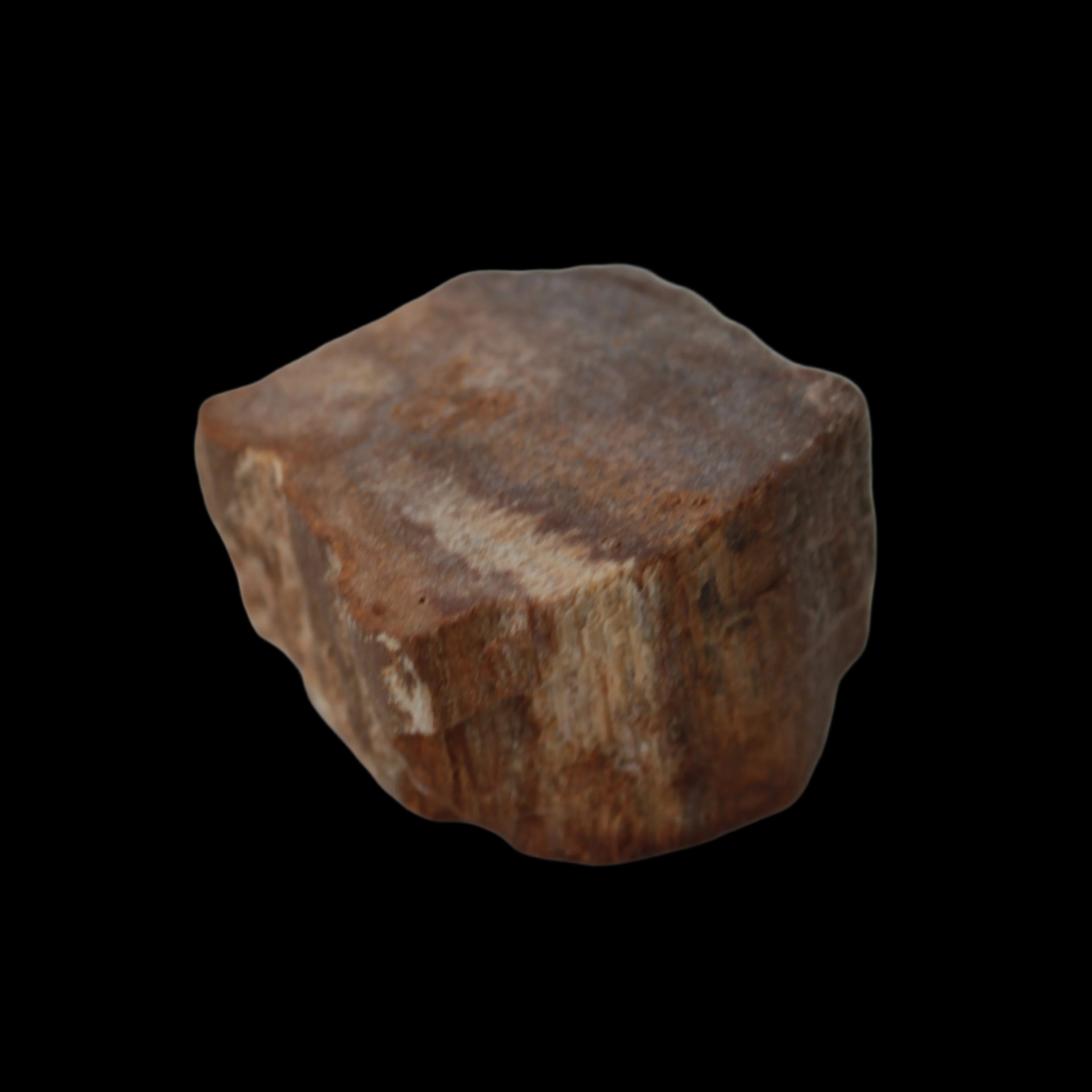Petrified Wood slice 36g in dull sunlight - Rocks and Things Store