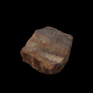 Petrified Wood slice 36g in dull sunlight - Rocks and Things Store