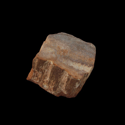 Petrified Wood slice 36g in dull sunlight - Rocks and Things Store