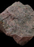 Rhodonite natural stone 113g in sunlight - Rocks and Things Store