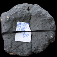 Quartz geode 148g - Rocks and Things Store