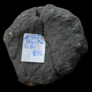 Quartz geode 148g - Rocks and Things Store