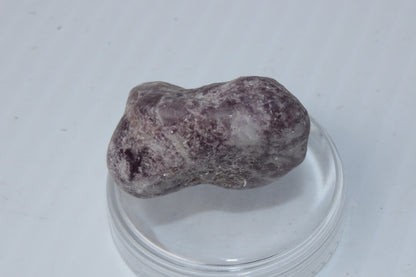 Lepidolite tumble polished stone 12-15g Rocks and Things