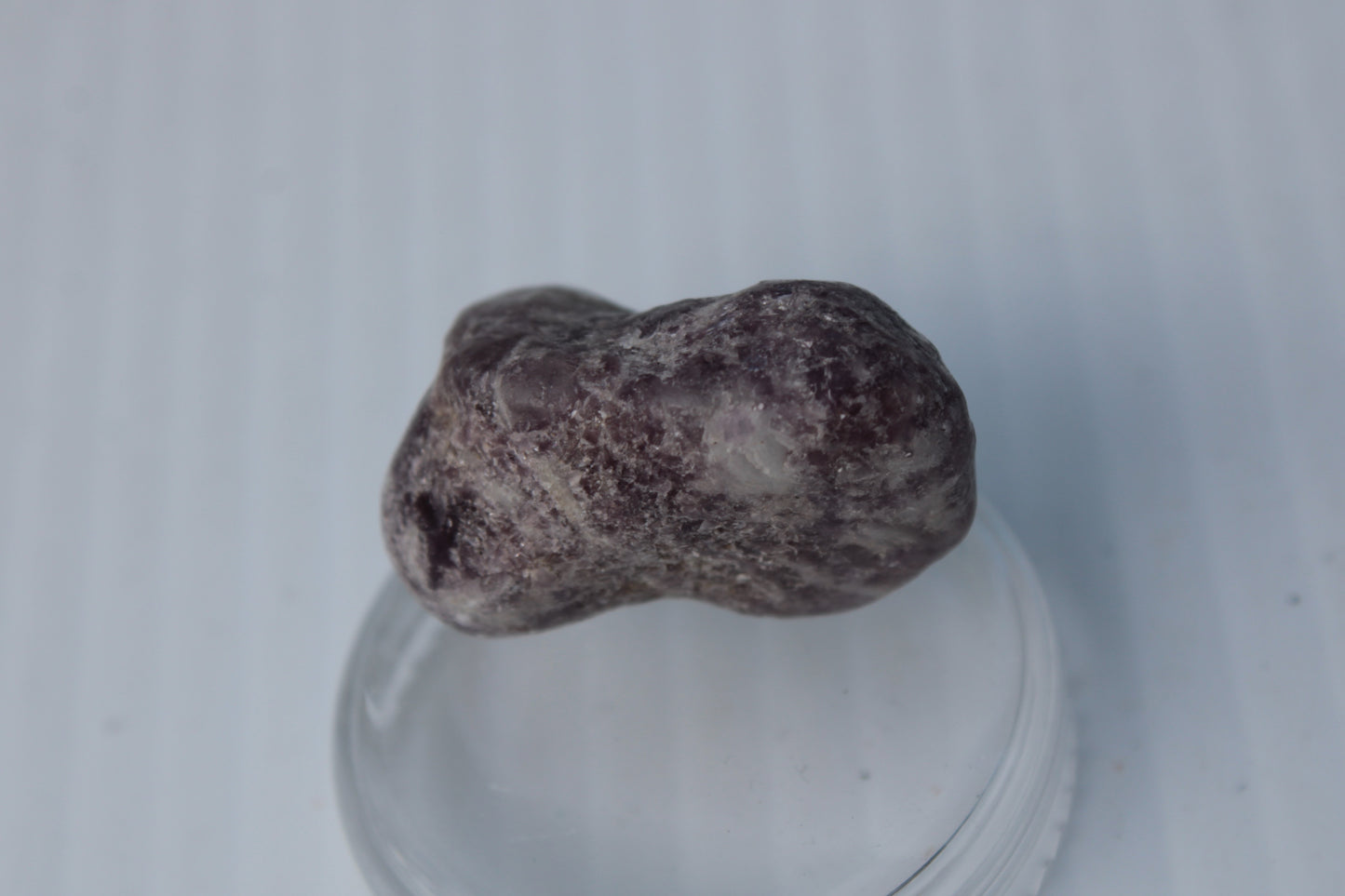 Lepidolite tumble polished stone 12-15g Rocks and Things