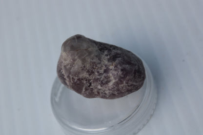 Lepidolite tumble polished stone 12-15g Rocks and Things