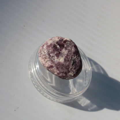 Lepidolite tumble polished stone 6-12g Rocks and Things