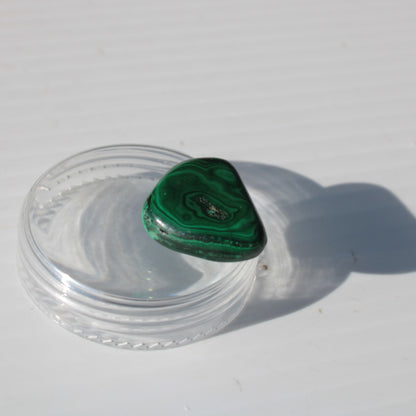 Malachite tumble polished stone 6-9g Rocks and Things