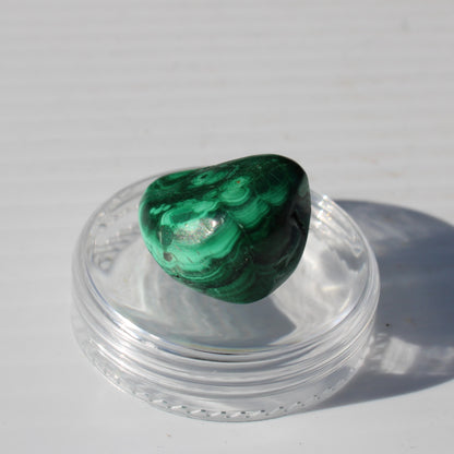 Malachite tumble polished stone 6-9g Rocks and Things