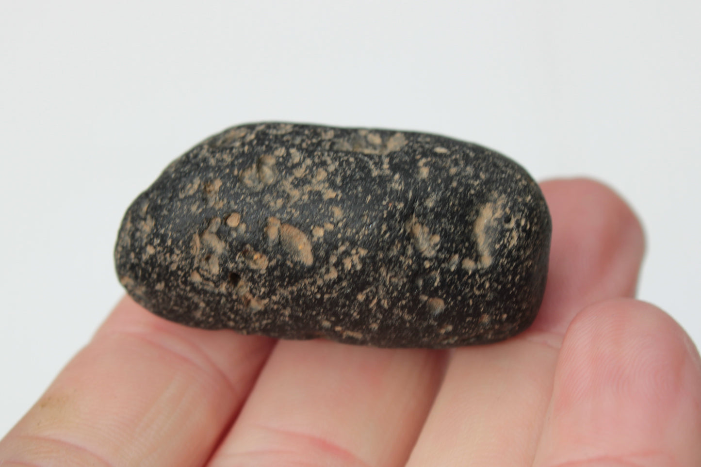 Tektite 29/31g Rocks and Things