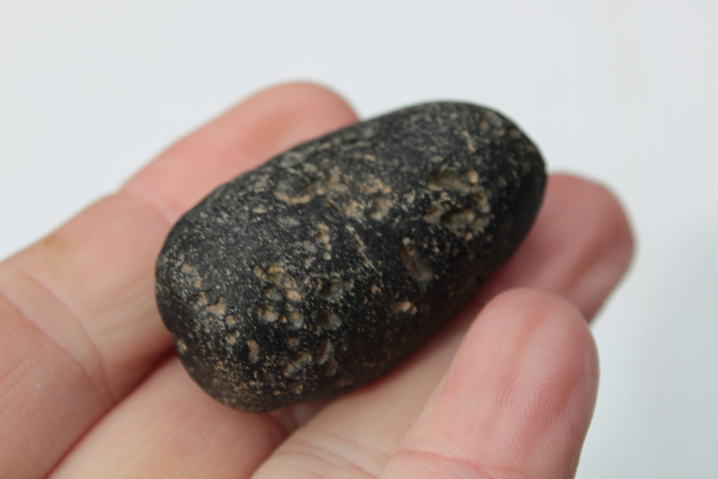 Tektite 29/31g Rocks and Things