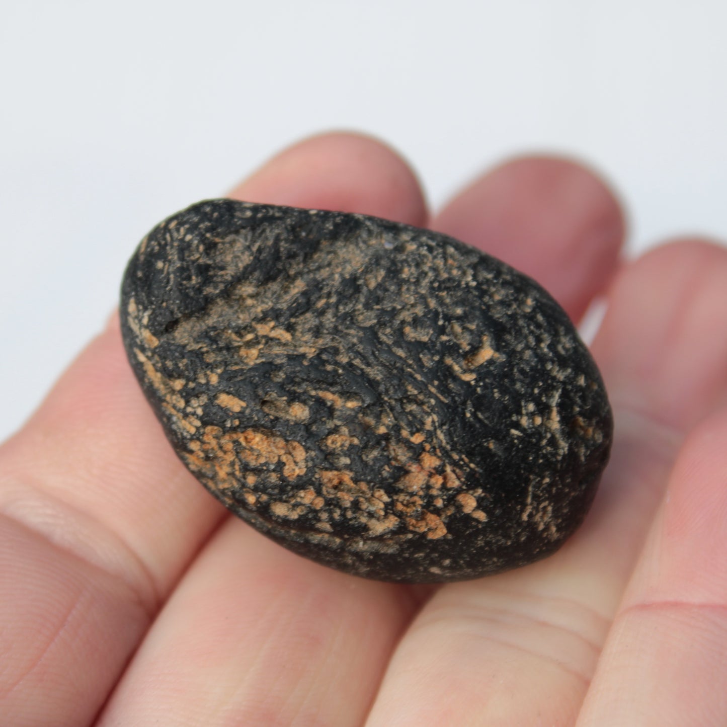 Tektite 24.9g Rocks and Things