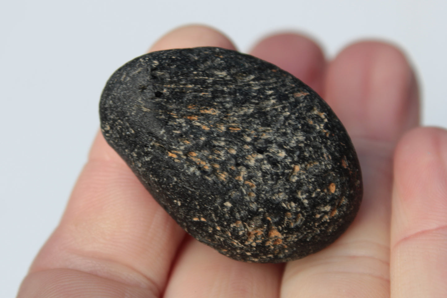 Tektite 24.9g Rocks and Things