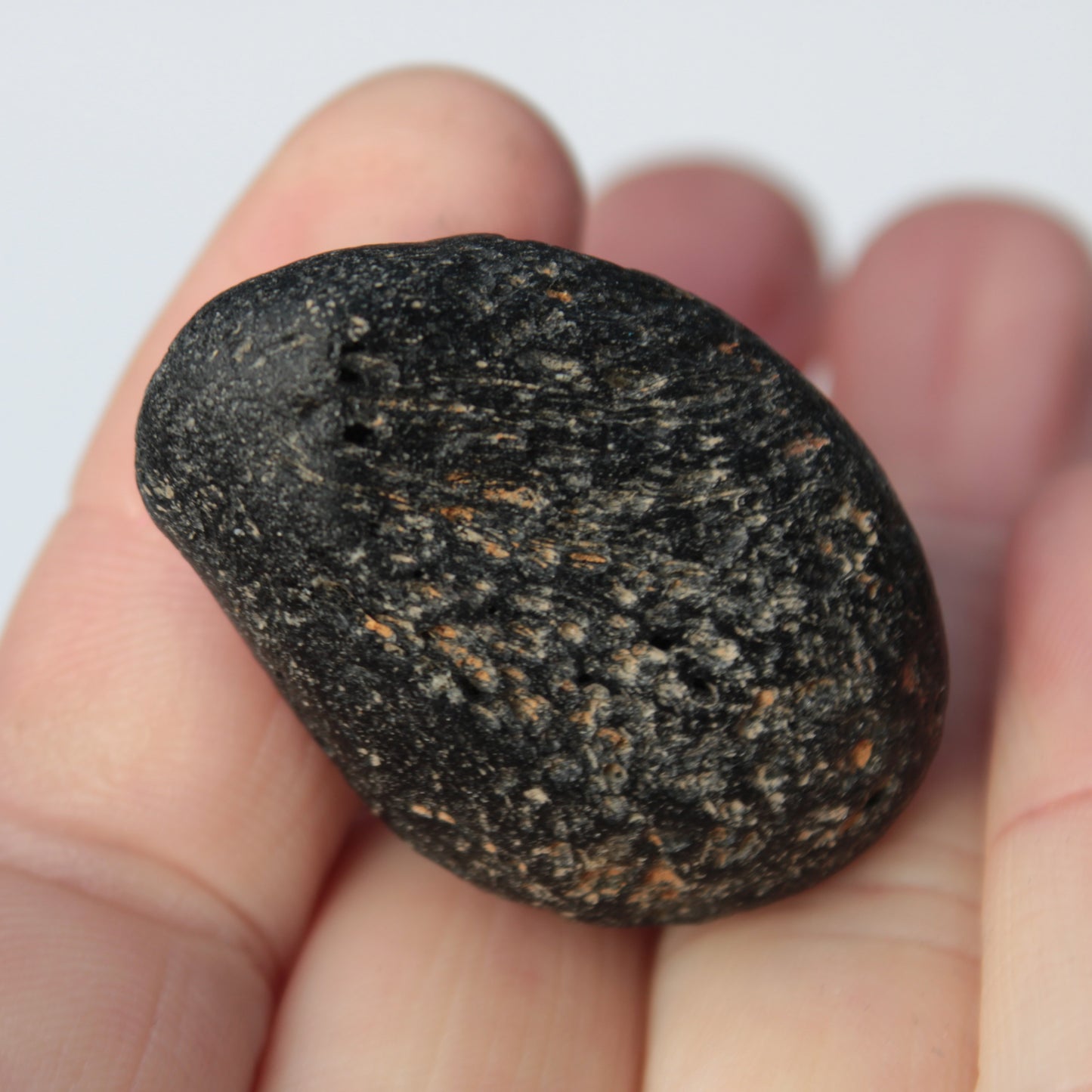 Tektite 24.9g Rocks and Things