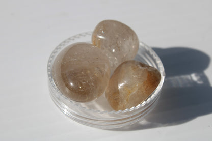 Golden Hair Rutile Quartz 3 tumbled crystals 23-25g Rocks and Things