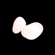 Rose Quartz 1/2 tumbled crystals 12-14g in sunlight - Rocks and Things Store