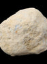 Clear Quartz whole geode for cracking from Morocco 40*45*30mm 50-59g in sunlight - Rocks and Things Store