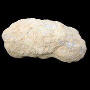 Clear Quartz whole geode for cracking from Morocco 45*45*45mm 60-69g in sunlight - Rocks and Things Store