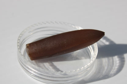 Brown Agate bullet 6.4g Rocks and Things