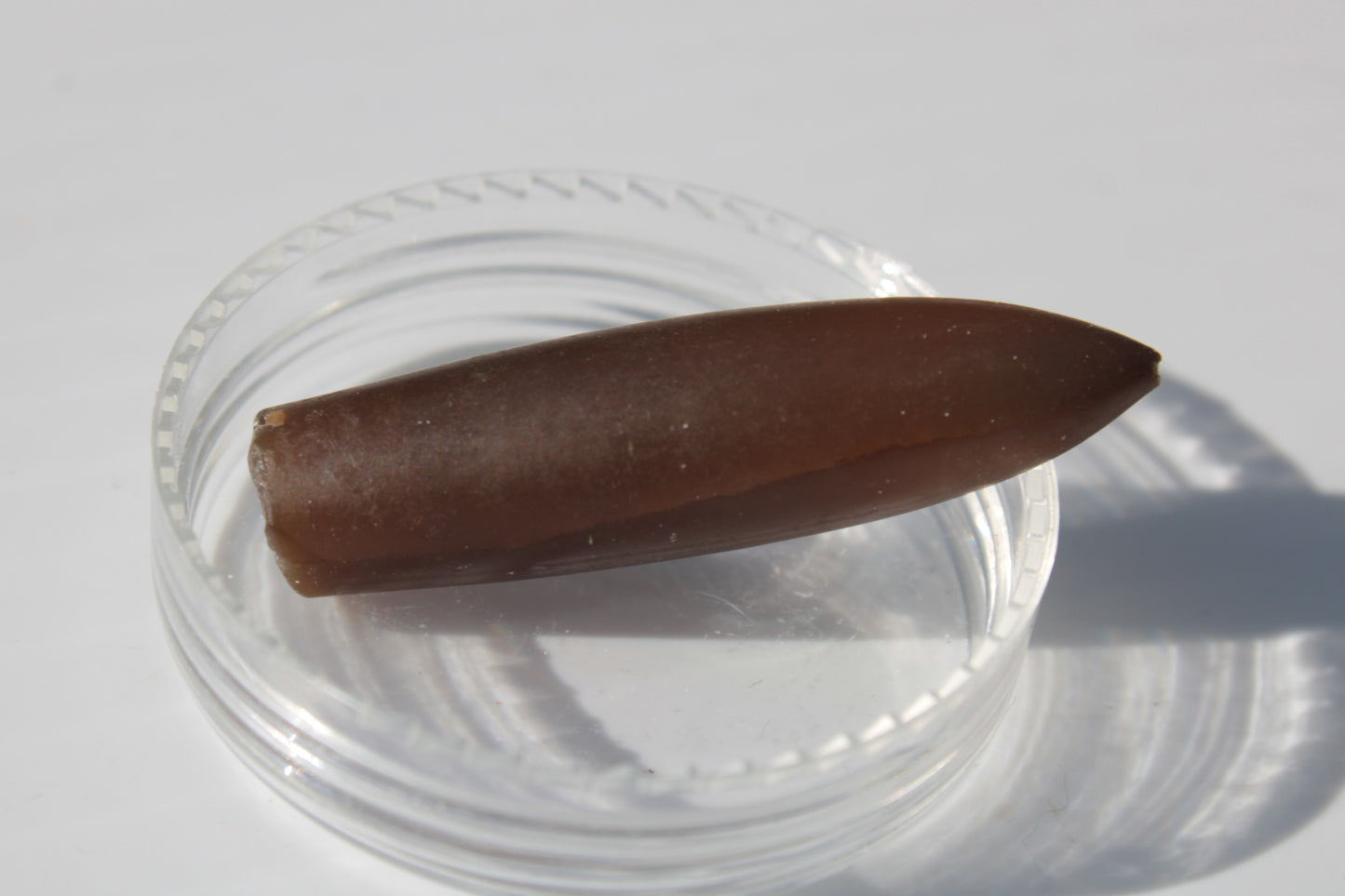 Brown Agate bullet 6.4g Rocks and Things