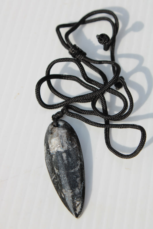 Orthoceras pendant with black corded necklace 11-15g Rocks and Things