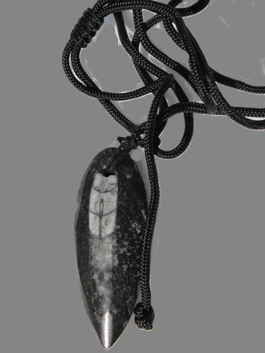 Orthoceras pendant with black corded necklace 11-15g Rocks and Things