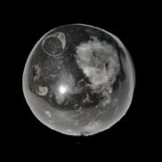 Orthoceras sphere 345g Rocks and Things