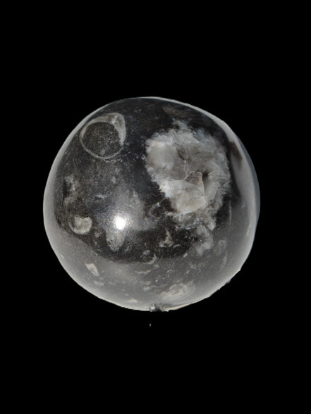 Orthoceras sphere 345g Rocks and Things