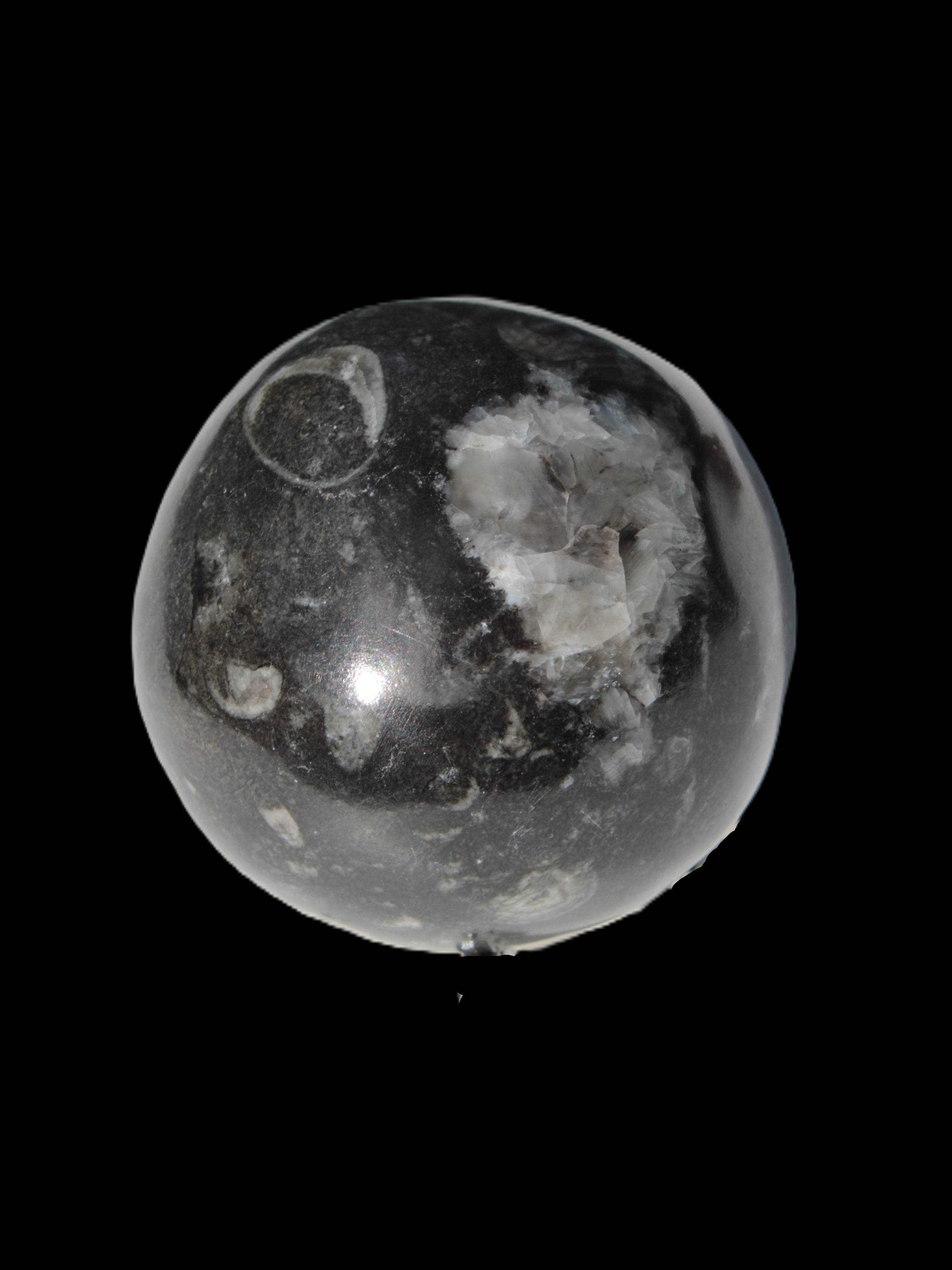 Orthoceras sphere 345g Rocks and Things