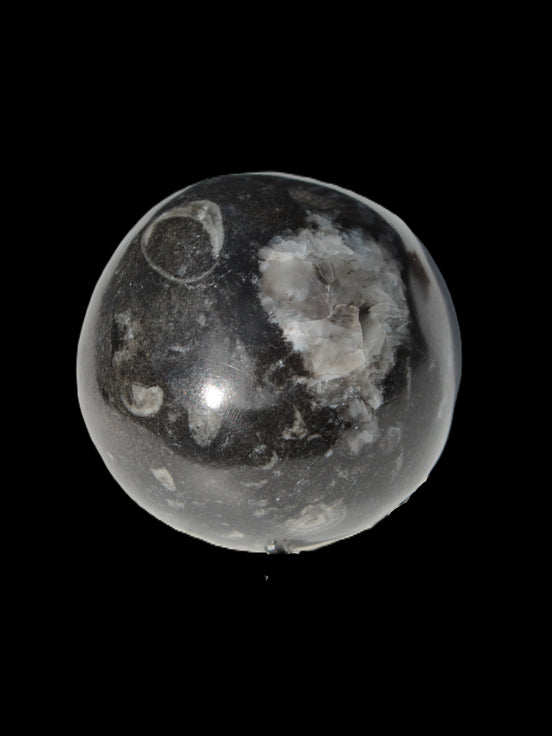 Orthoceras sphere 345g Rocks and Things