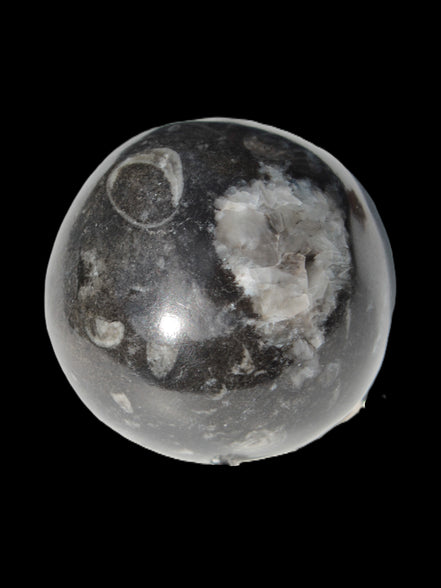 Orthoceras sphere 345g Rocks and Things