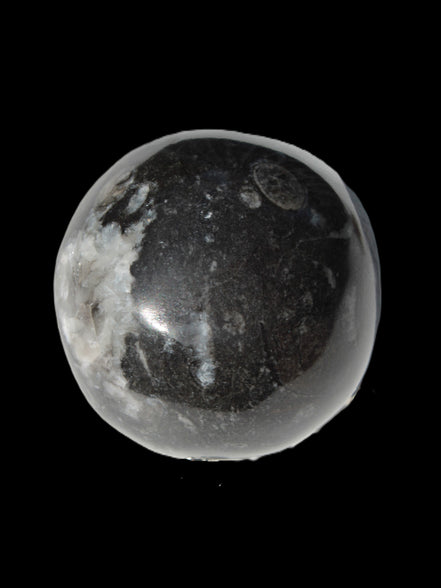 Orthoceras sphere 345g Rocks and Things