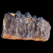 Dark Amethyst Cluster 390g in sunshine -  Rocks and Things Store