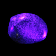 Serpentine Verdite tumbled stone 11-17g Rocks and Things Store