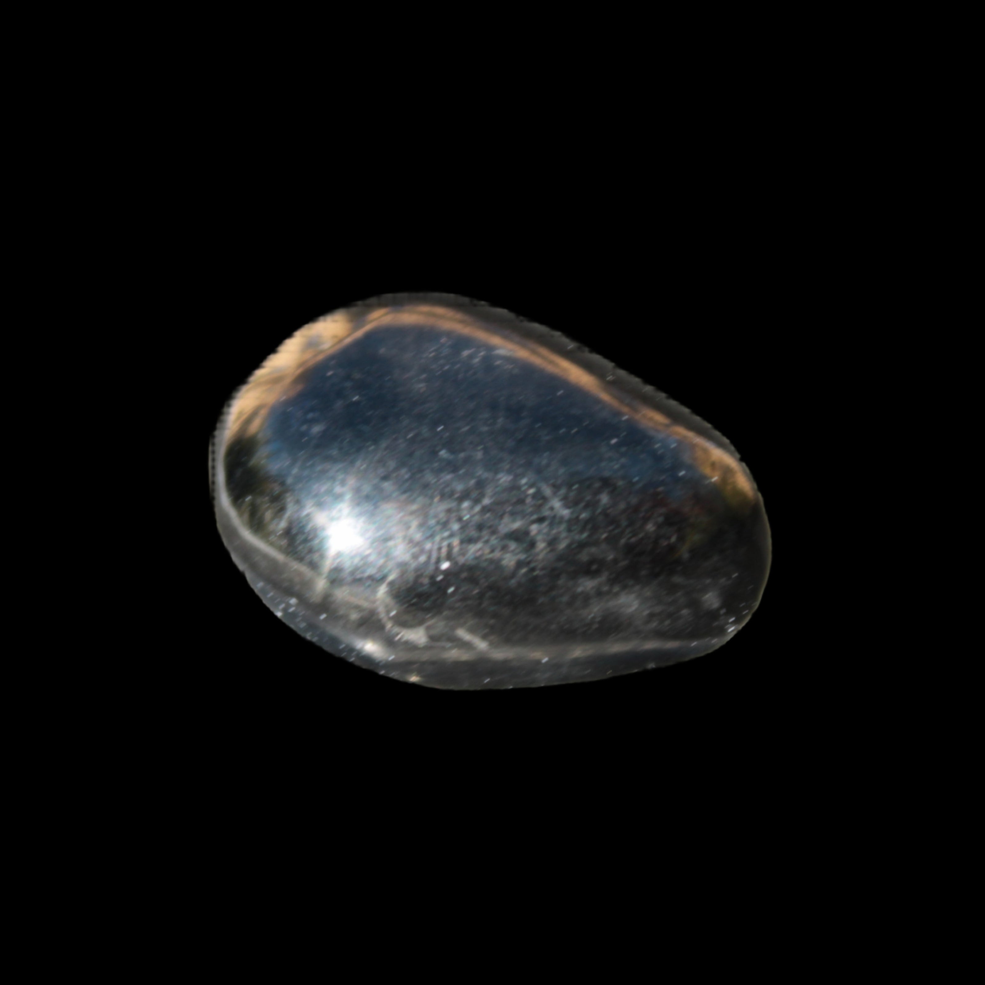 Jet polished stone 3-6g in sunlight - Rocks and Things Store