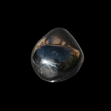 Jet polished stone 3-6g in sunlight - Rocks and Things Store