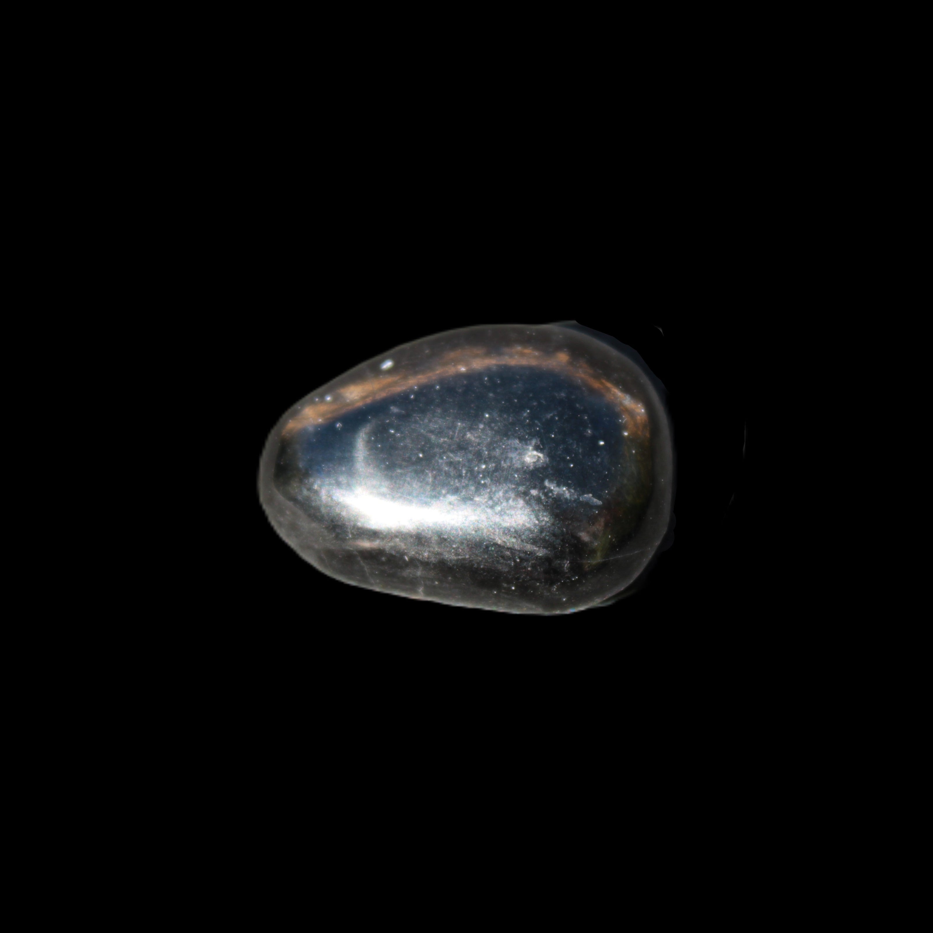Jet polished stone 3-6g in sunlight - Rocks and Things Store