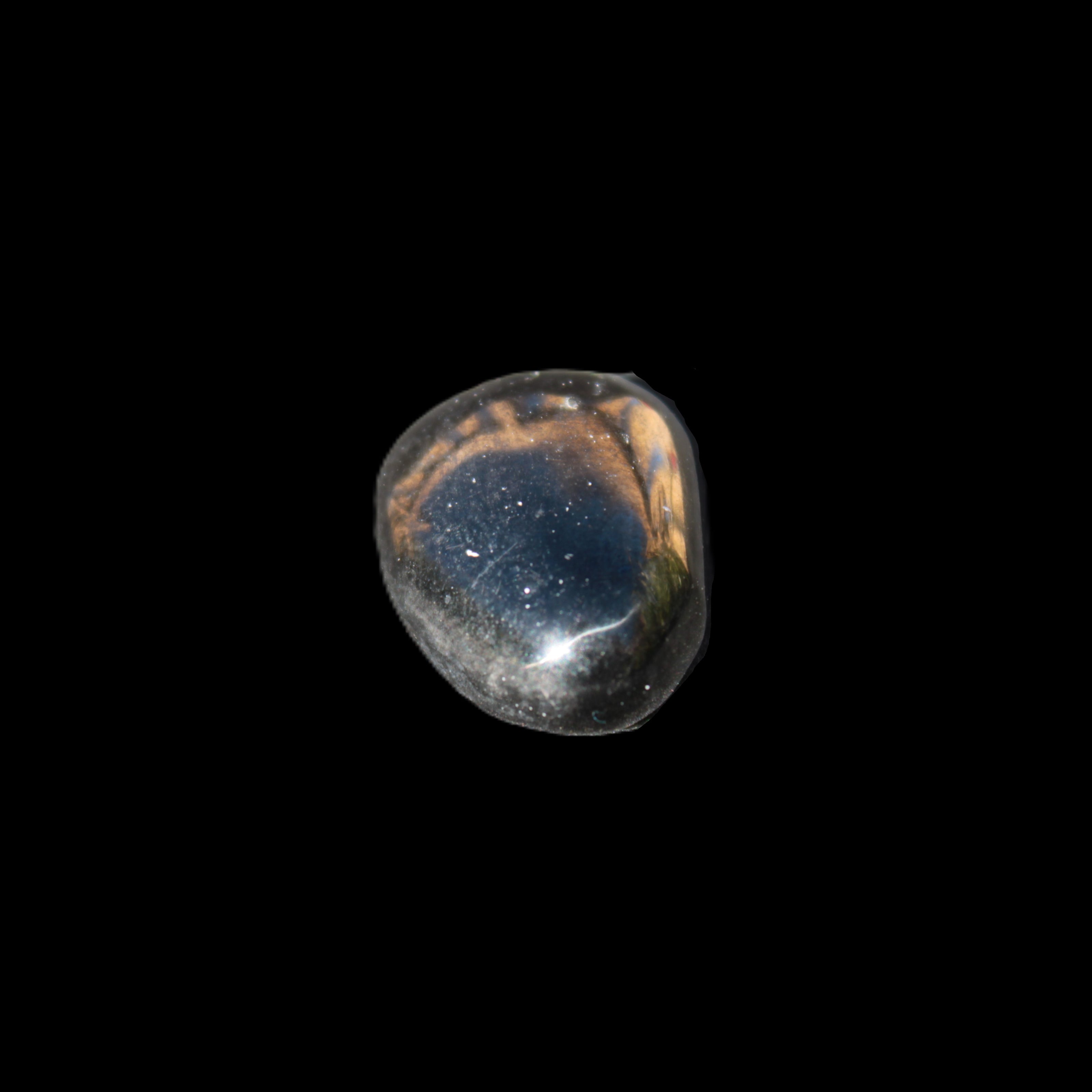 Jet polished stone 3-6g in sunlight - Rocks and Things Store
