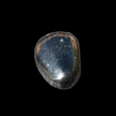Jet polished stone 3-6g in sunlight - Rocks and Things Store