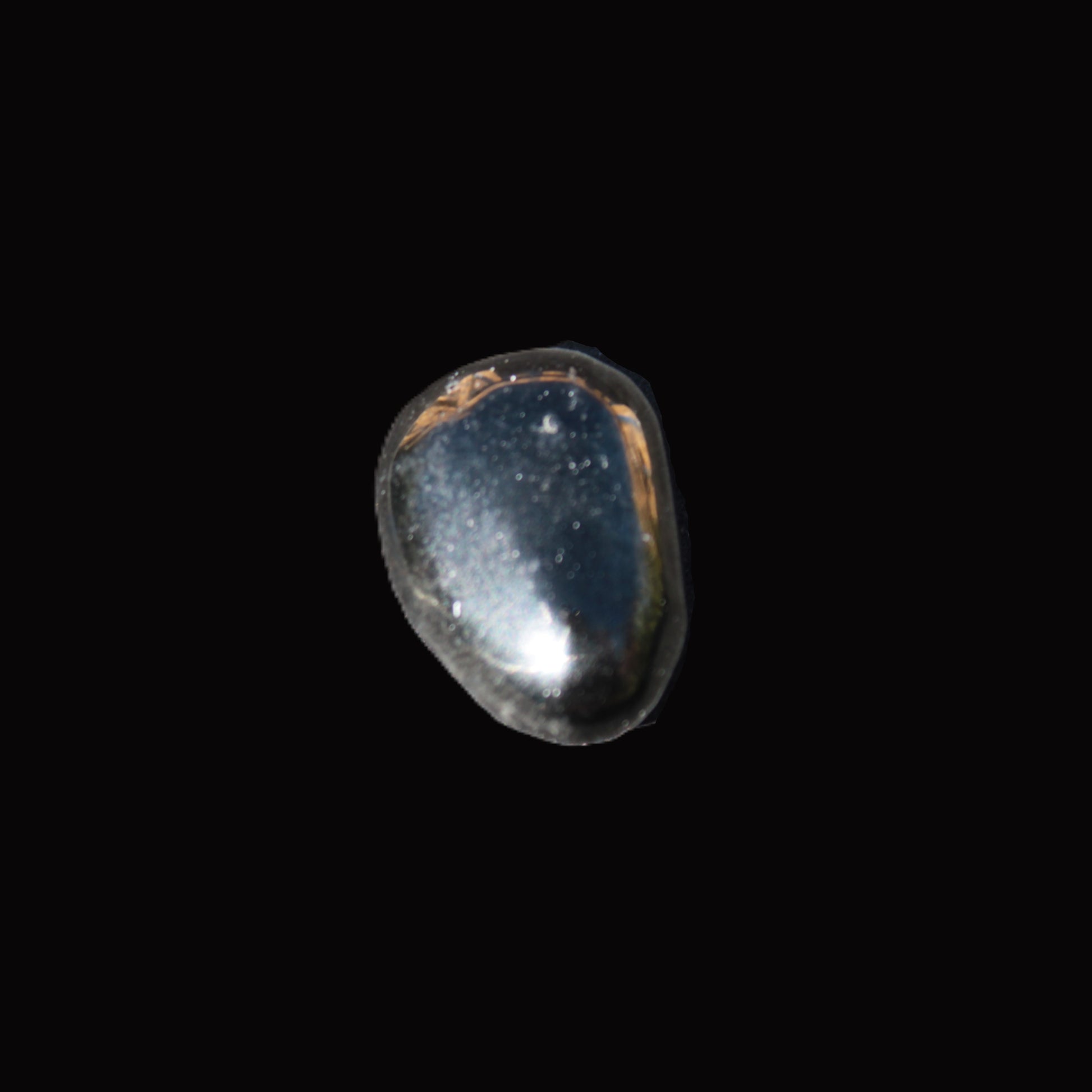 Jet polished stone 3-6g Rocks and Things