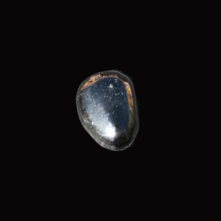 Jet polished stone 3-6g in sunlight - Rocks and Things Store
