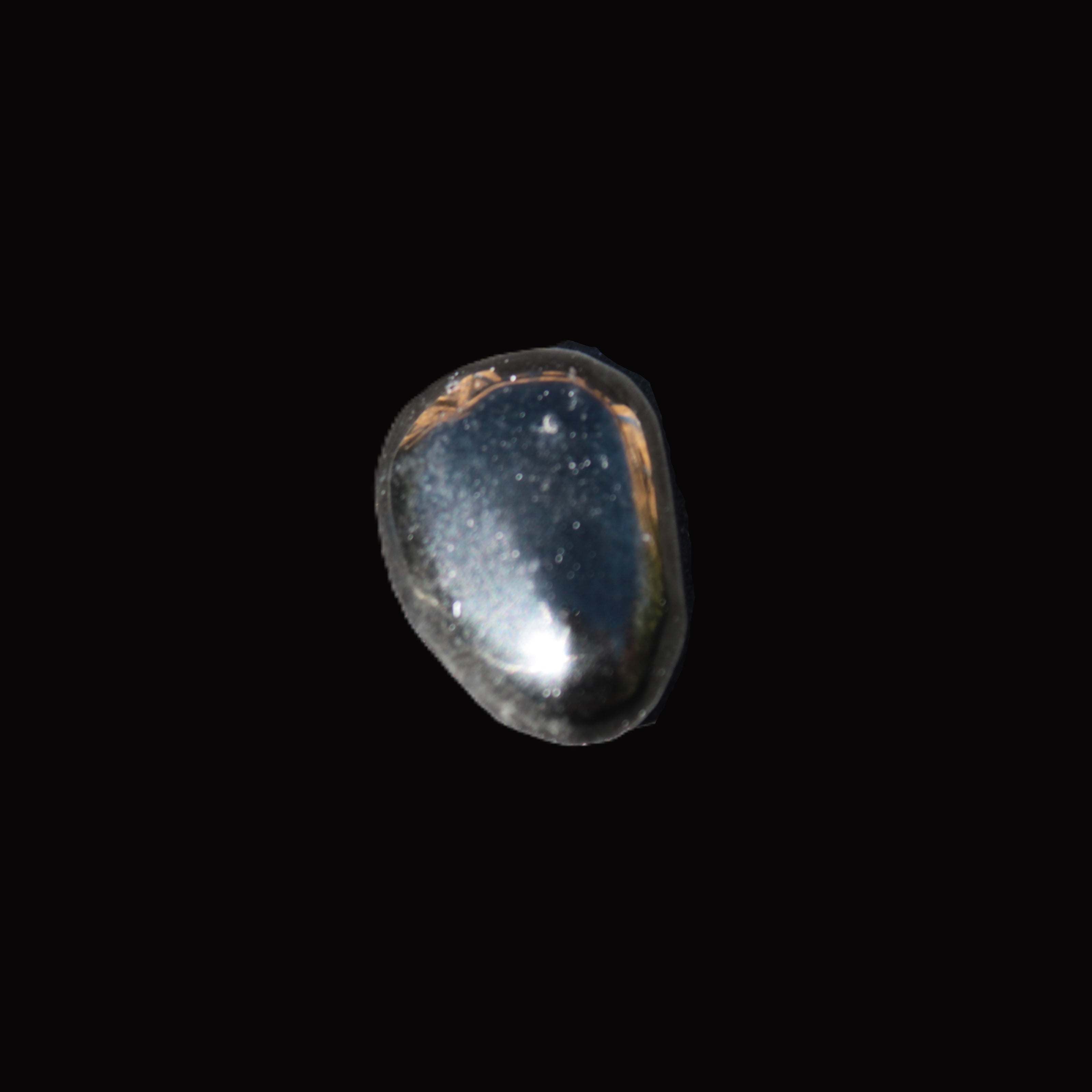 Jet polished stone 3-6g in sunlight - Rocks and Things Store