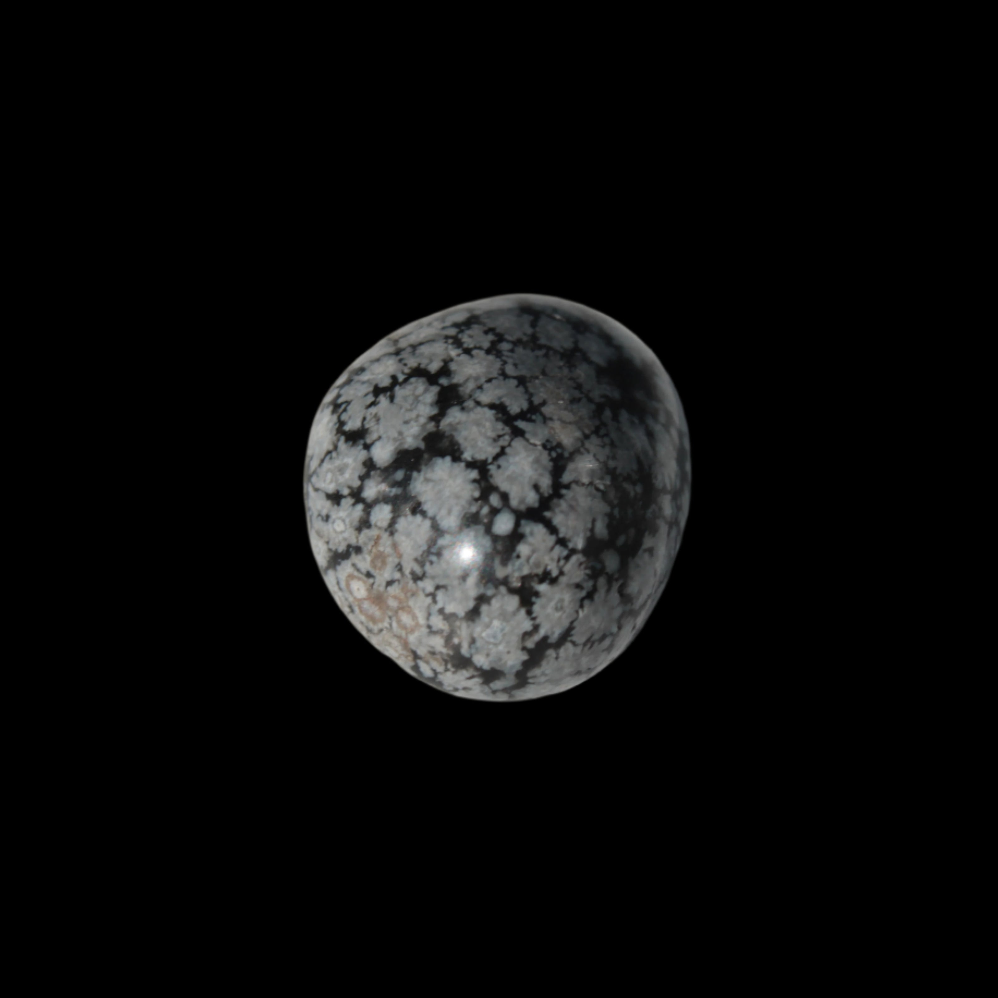 Snowflake Obsidian polished stone 5-7g  in sunlight -Rocks and Things Store