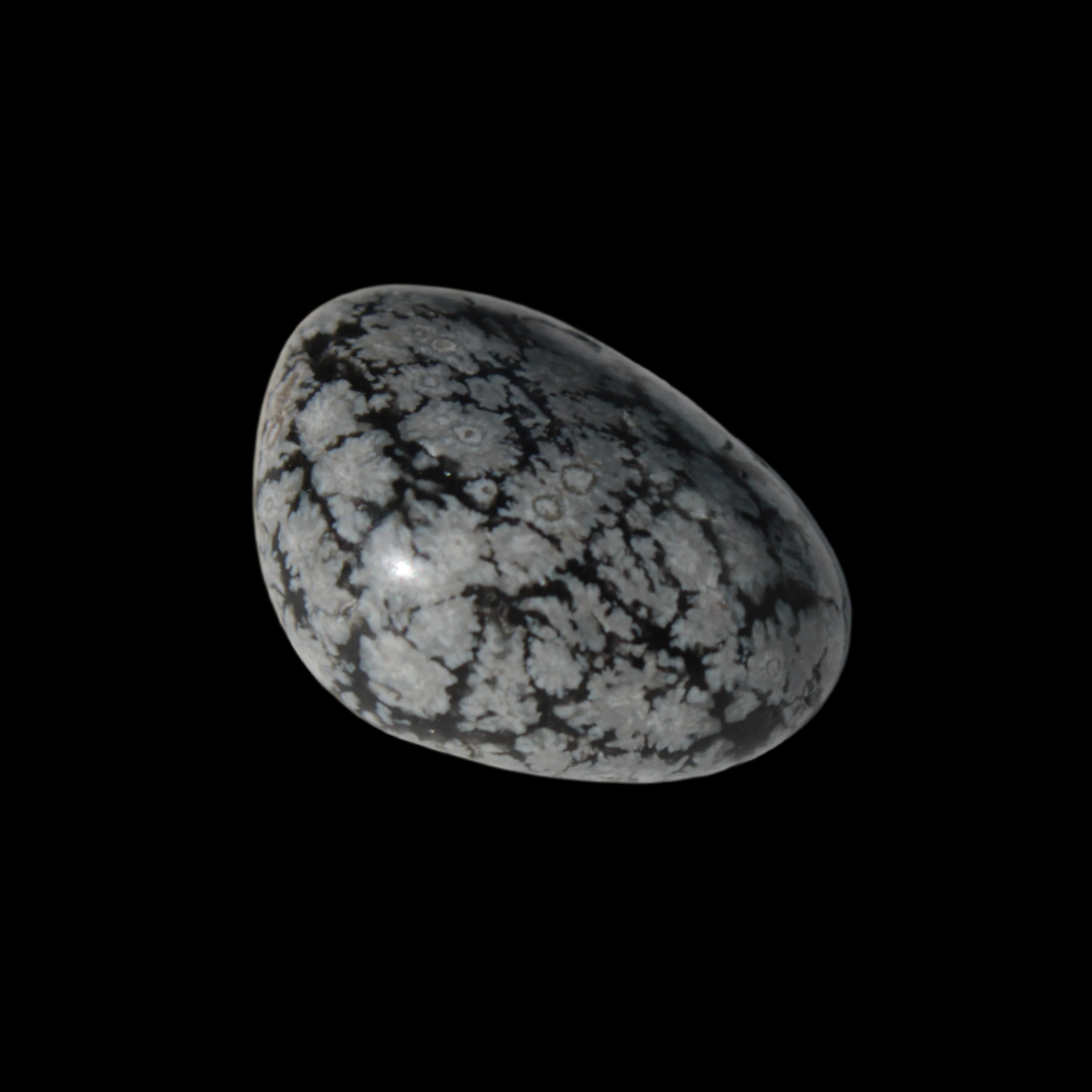 Snowflake Obsidian polished stone 5-7g  in sunlight - Rocks and Things Store