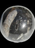 Orthoceras sphere 64mm 368.5g Rocks and Things